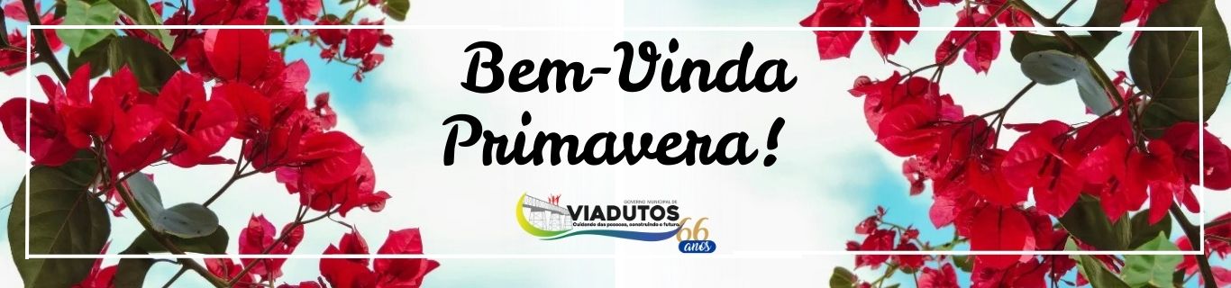 Imagem Slide: f29059d3a04b806832daad40b88423bc.jpg